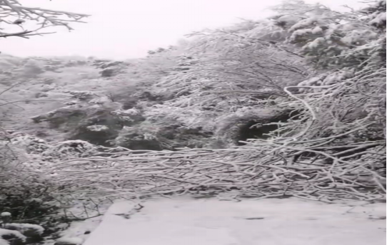 战暴雪、保供电！湖南发展鸟儿巢公司应对极端天气紧急抢修失电故障